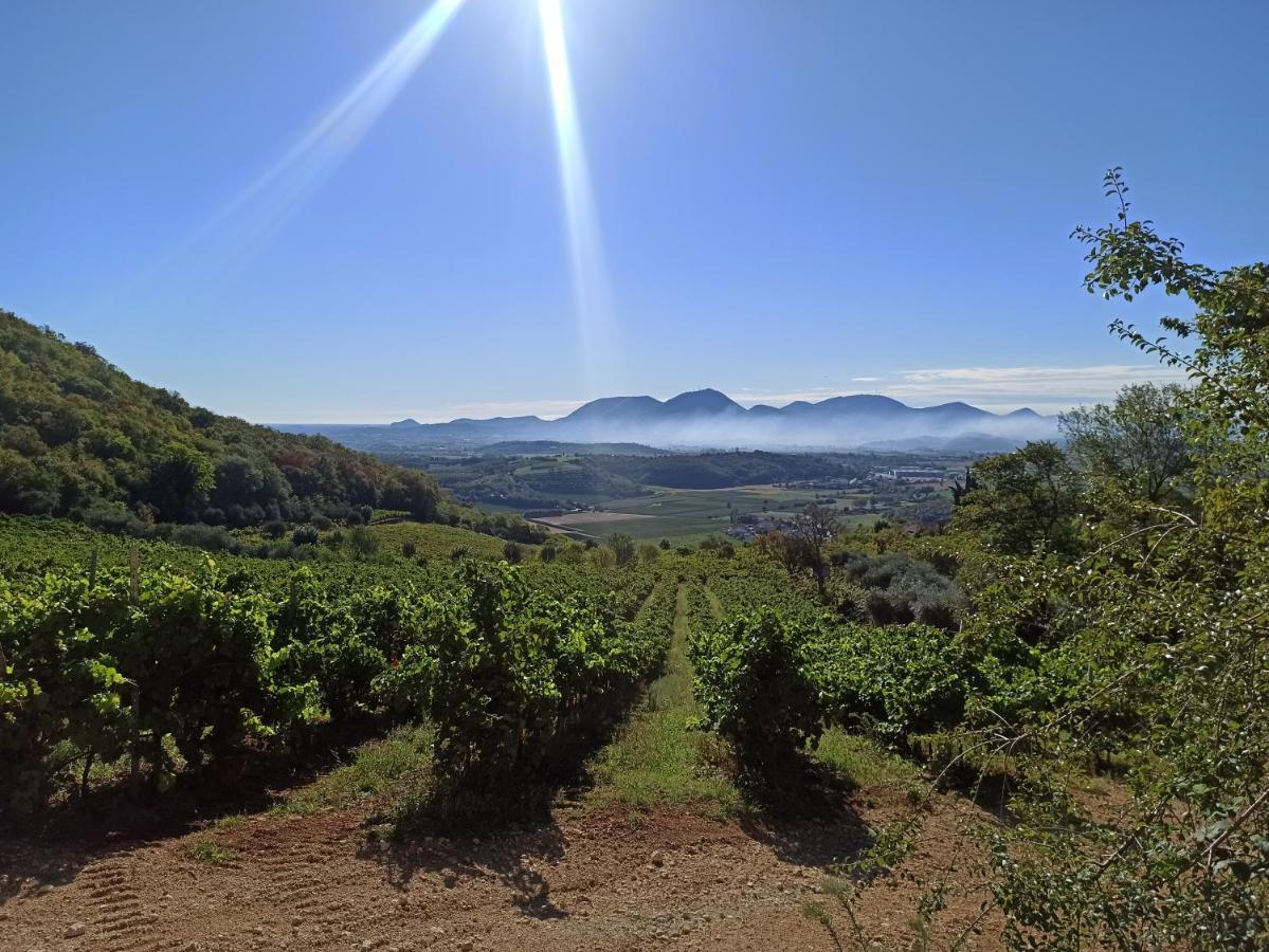 Alloggio La Perla, Quiete Ed Eleganza Con Vista Barbarano Vicentino Exteriör bild