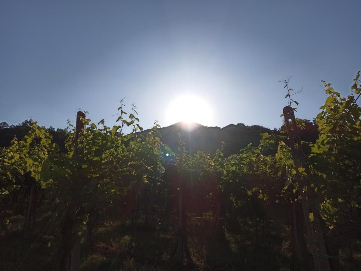 Alloggio La Perla, Quiete Ed Eleganza Con Vista Barbarano Vicentino Exteriör bild