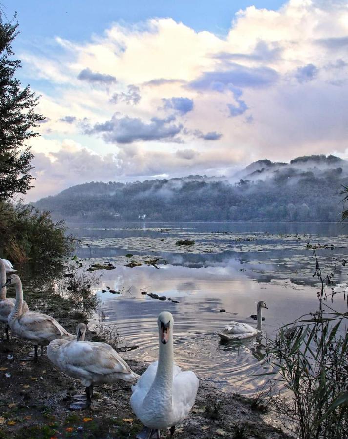 Alloggio La Perla, Quiete Ed Eleganza Con Vista Barbarano Vicentino Exteriör bild