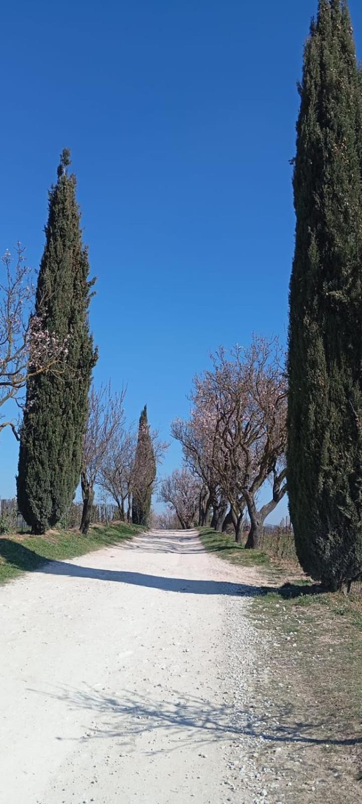 Alloggio La Perla, Quiete Ed Eleganza Con Vista Barbarano Vicentino Exteriör bild